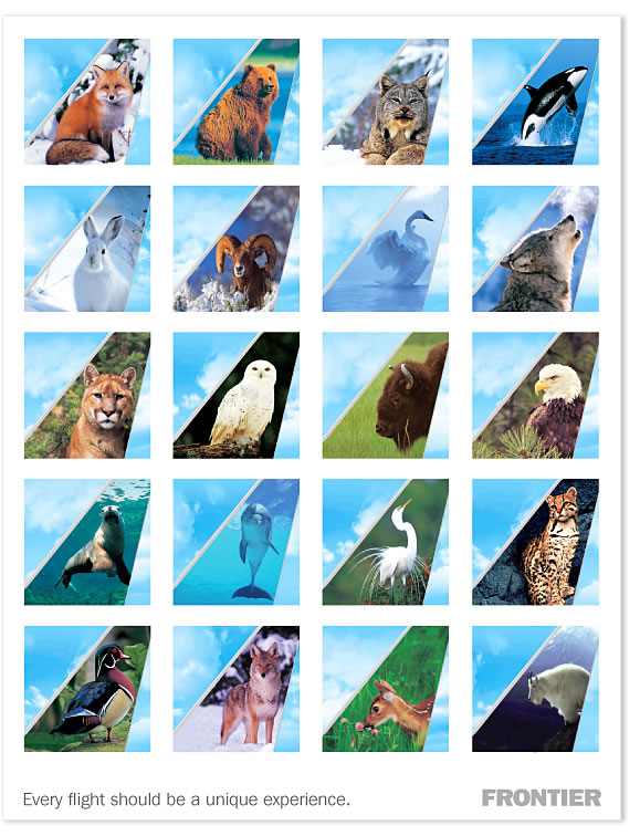 Frontier Airlines M Ward, Creative Director